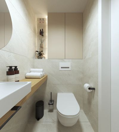 WC — vizualizace umyvadla s dřevěnou deskou, zrcadlovou skříňkou a toaletou